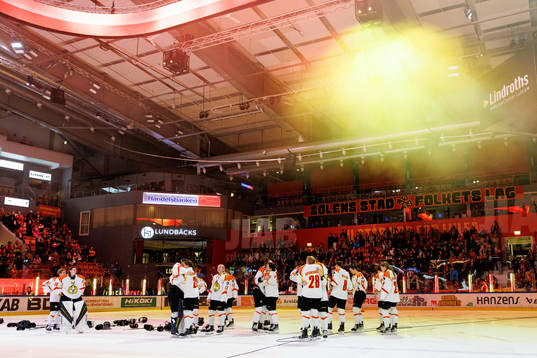 Brynäs spelare