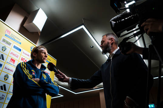 Albin Ekdal of the Swedish men's football national team