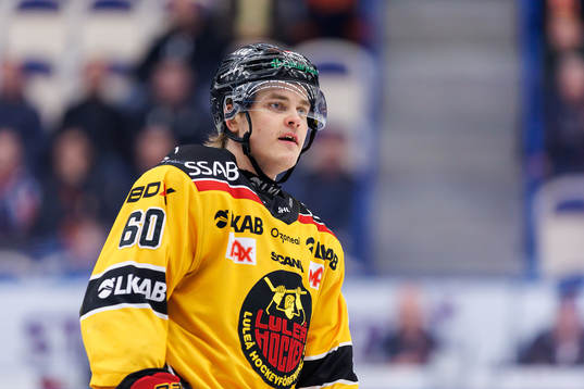 Luleås Julius Honka