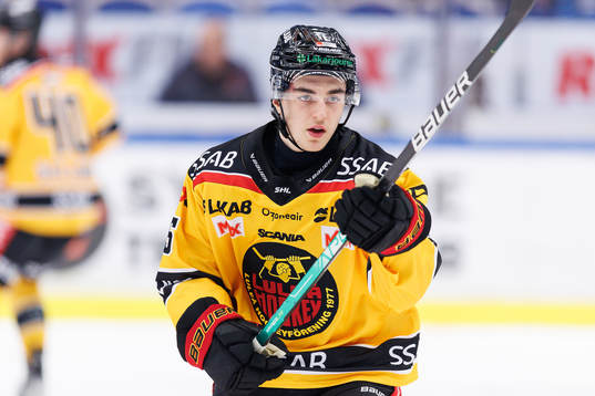 Luleås Joel Kant
