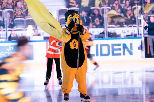 Skellefteås maskot Buddy