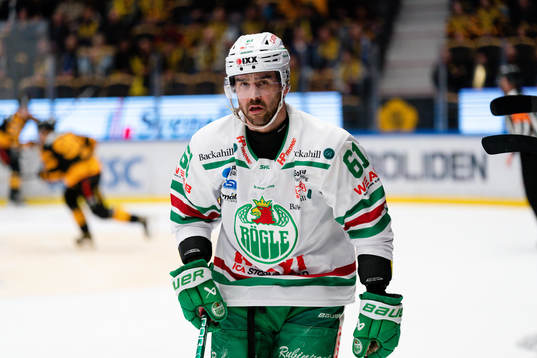 Rögles Ludvig Larsson