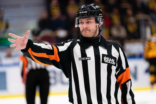 Domare Daniel Eriksson