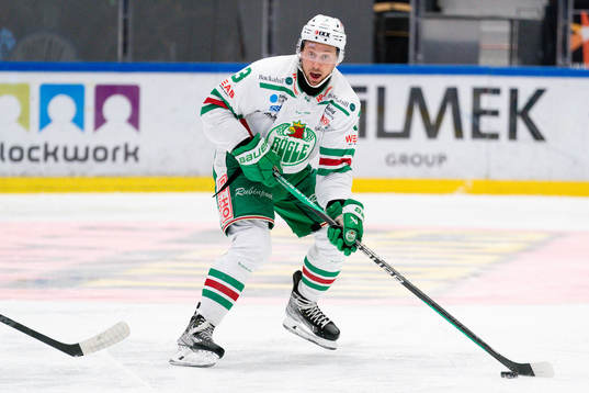 Rögles Michael Kapla