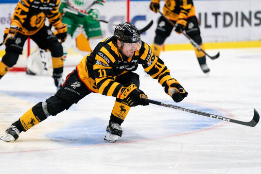 Skellefteå AIKs Max Lindholm