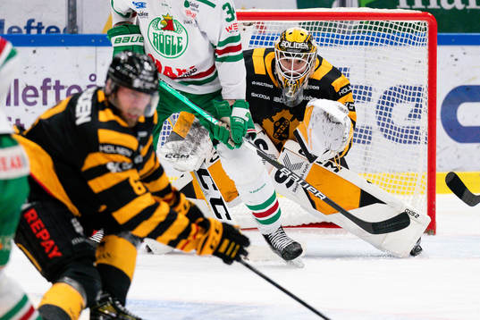 Skellefteå AIKs målvakt Linus Söderström