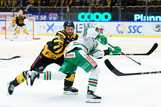 Skellefteås Arvid Lundberg och Rögles Linus Sjödin