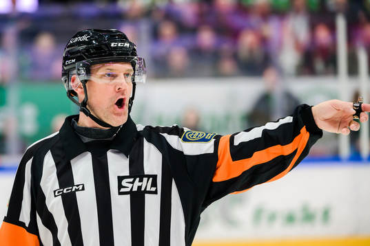 Domare Mikael Nord