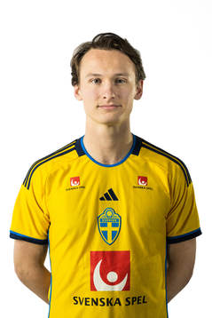 Hjalmar Ekdal of the Swedish national football team poses