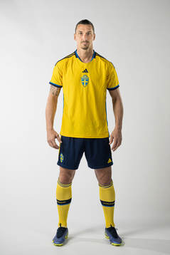 Zlatan Ibrahimovic of the Swedish national football team