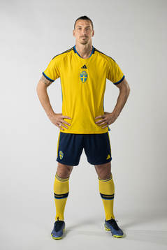 Zlatan Ibrahimovic of the Swedish national football team