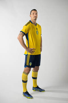 Zlatan Ibrahimovic of the Swedish national football team