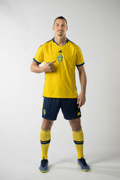 Zlatan Ibrahimovic of the Swedish national football team