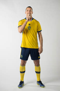 Zlatan Ibrahimovic of the Swedish national football team