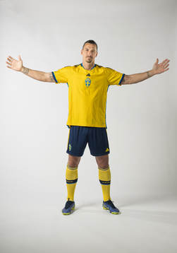Zlatan Ibrahimovic of the Swedish national football team
