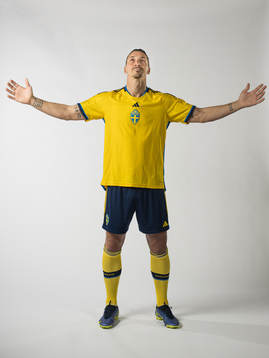 Zlatan Ibrahimovic of the Swedish national football team