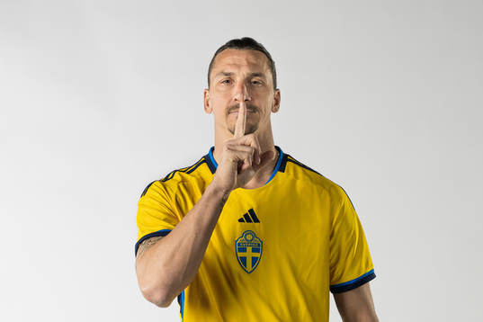 Bläddra bland fler bilder av Football, UEFA Euro Qualifier, Sweden, portraits