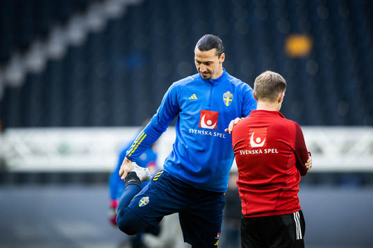 Zlatan Ibrahimovic of the Swedish national football team