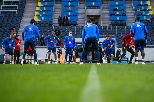 Players of the Swedish national football team