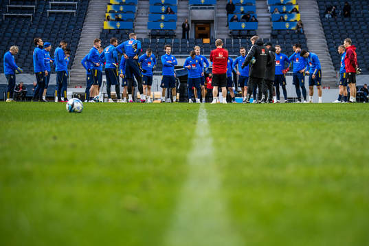 Players of the Swedish national football team