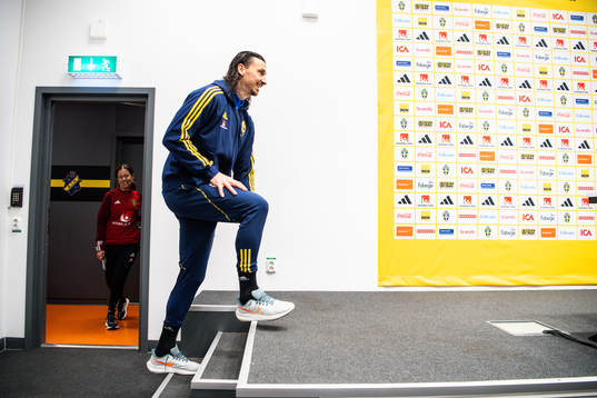 Zlatan Ibrahimovic of the Swedish national football team