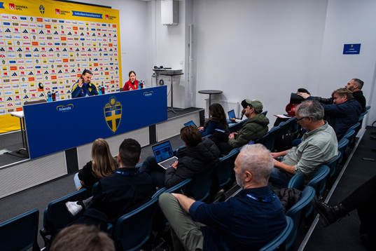 Zlatan Ibrahimovic of the Swedish national football team