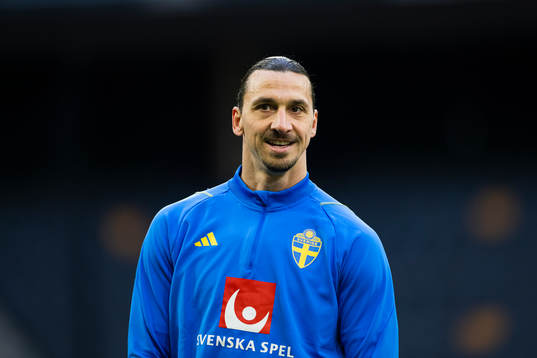 Zlatan Ibrahimovic of the Swedish national football team