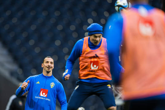 Zlatan Ibrahimovic of the Swedish national football team