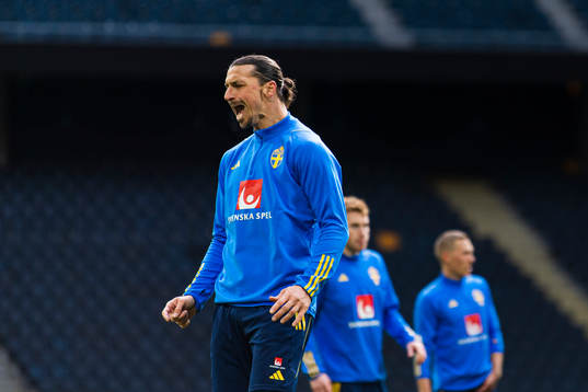 Zlatan Ibrahimovic of the Swedish national football team