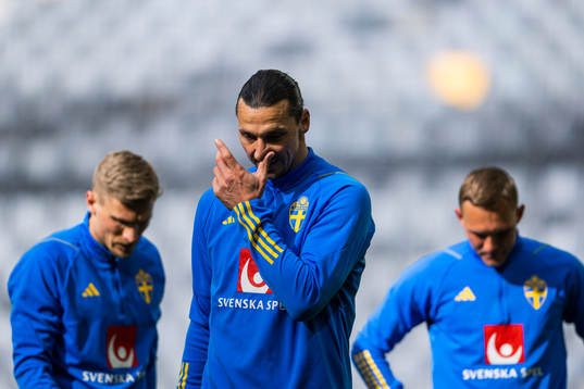 Zlatan Ibrahimovic of the Swedish national football team