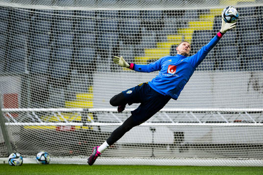 Goalkeeper Robin Olsen of the Swedish national football team
