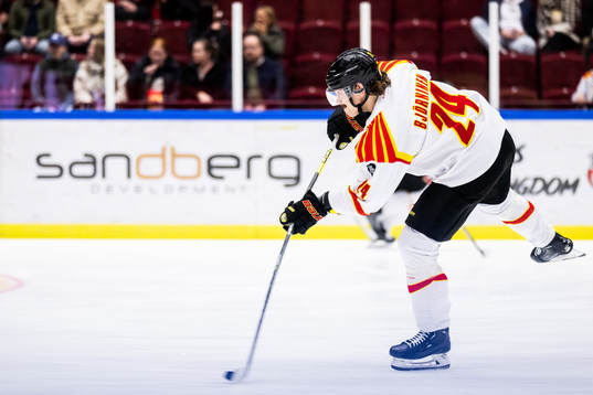 Brynäs Hannes Björninen