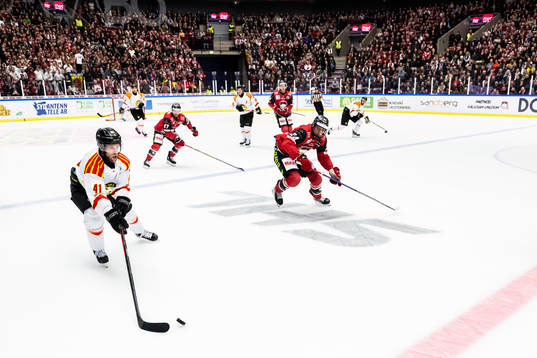Brynäs Greg Scott och Malmö Redhawks Anton Wahlberg