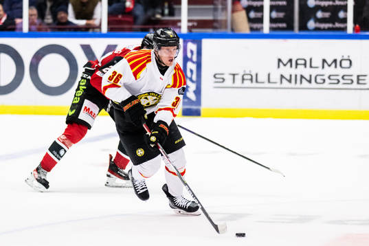 Brynäs Linus Ölund