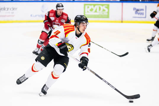 Brynäs Dmytro Timashov