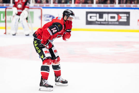 Malmö Redhawks Carl-Johan Lerby har ont