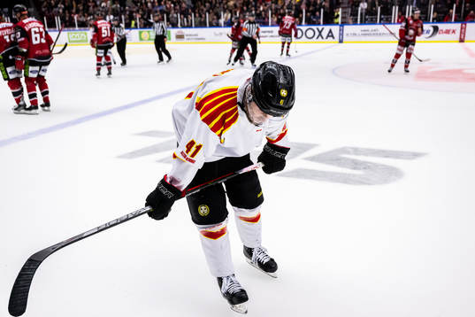 Brynäs Greg Scott deppar