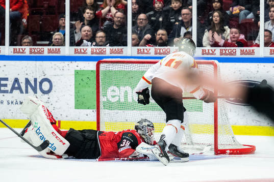Malmö Redhawks målvakt Adam Werner deppar