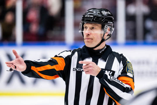 Domare Tobias Björk