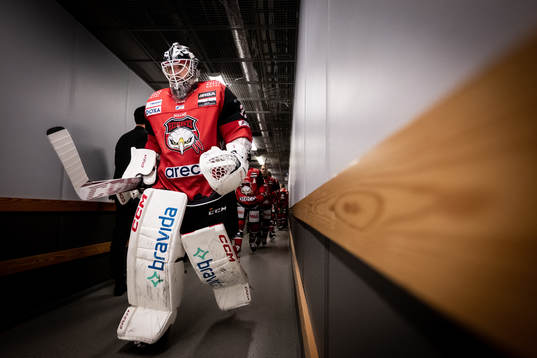 Malmö Redhawks målvakt Adam Werner