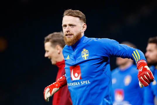 Goalkeeper Viktor Johansson