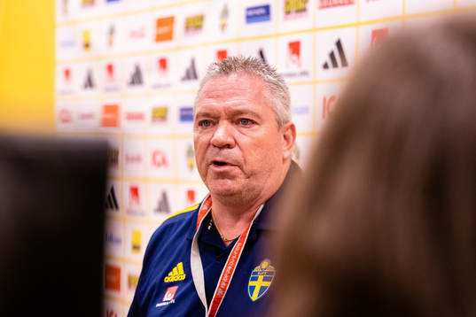 Martin Fredman, Head of Security