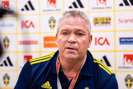 Martin Fredman, Head of Security