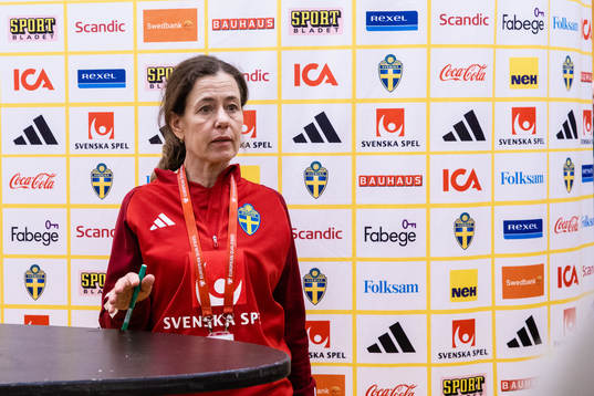 Petra Thorén, Media officer