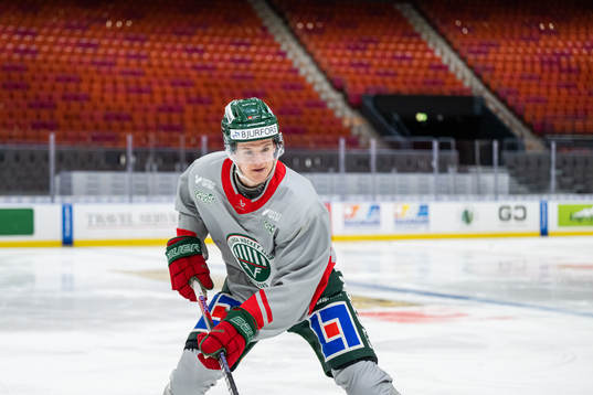 Erik Borg