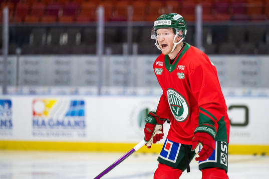 Andreas Borgman