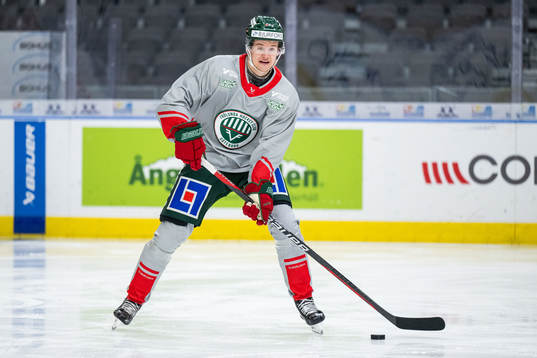 Erik Borg