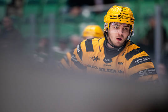 Skellefteås Andreas Wingerli