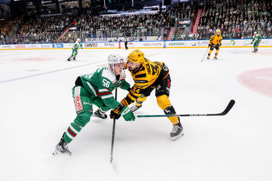 Rögles Adam Engström och Skellefteås Tom Kühnhackl