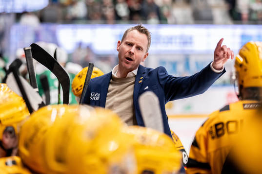 Skellefteås tränare Robert Ohlsson